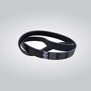 M16 or TU5 engine alternator belt